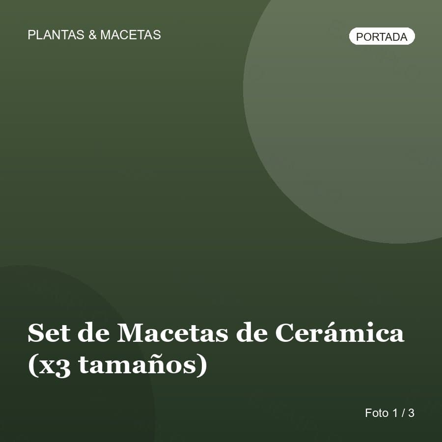 Set de Macetas de Cerámica (x3 tamaños)